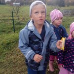 phoca_thumb_m_drak 10 Fotogalerie